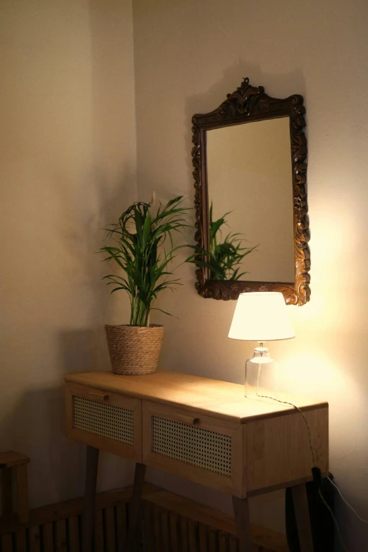 a room with a lamp, mirror and a plant