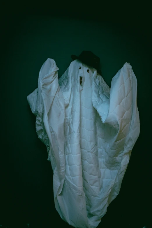 an image of soing is wrapped in white cloth