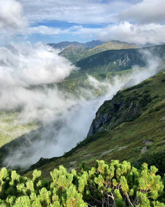 a landscape shows the green mountains with a fog on them