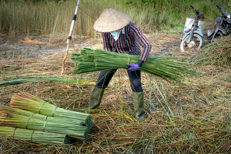 a person is using a pole to clear up hay