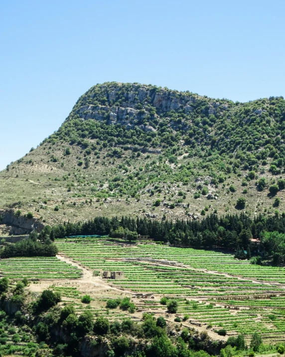 a lush green hillside surrounded by lots of trees and hills