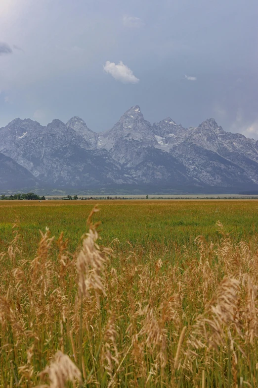 large range of mountain towering over a green grassy field