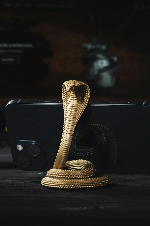 a smartphone and a snake that is on the table