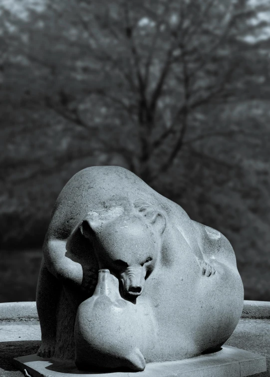 a black and white po of a rock in front of a tree