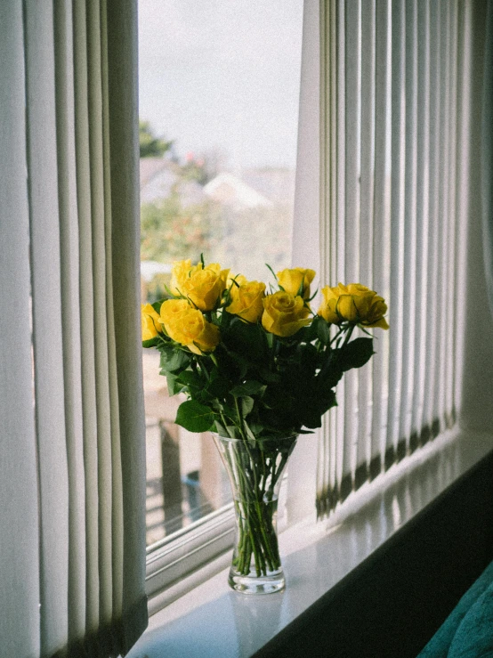 a vase filled with yellow flowers on top of a window sill