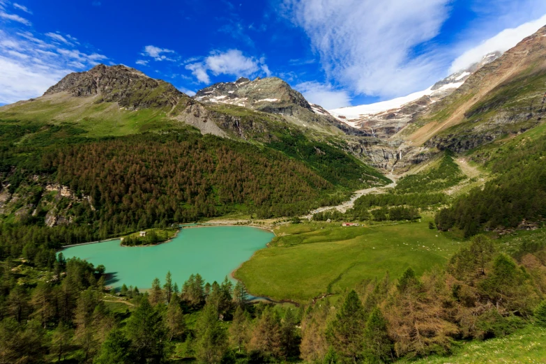 green grass and trees are surrounding a small lake