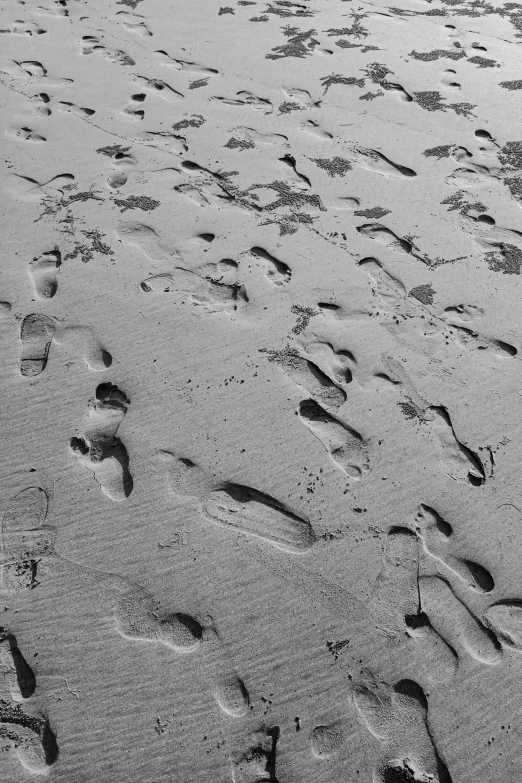 footprints in the sand at the beach