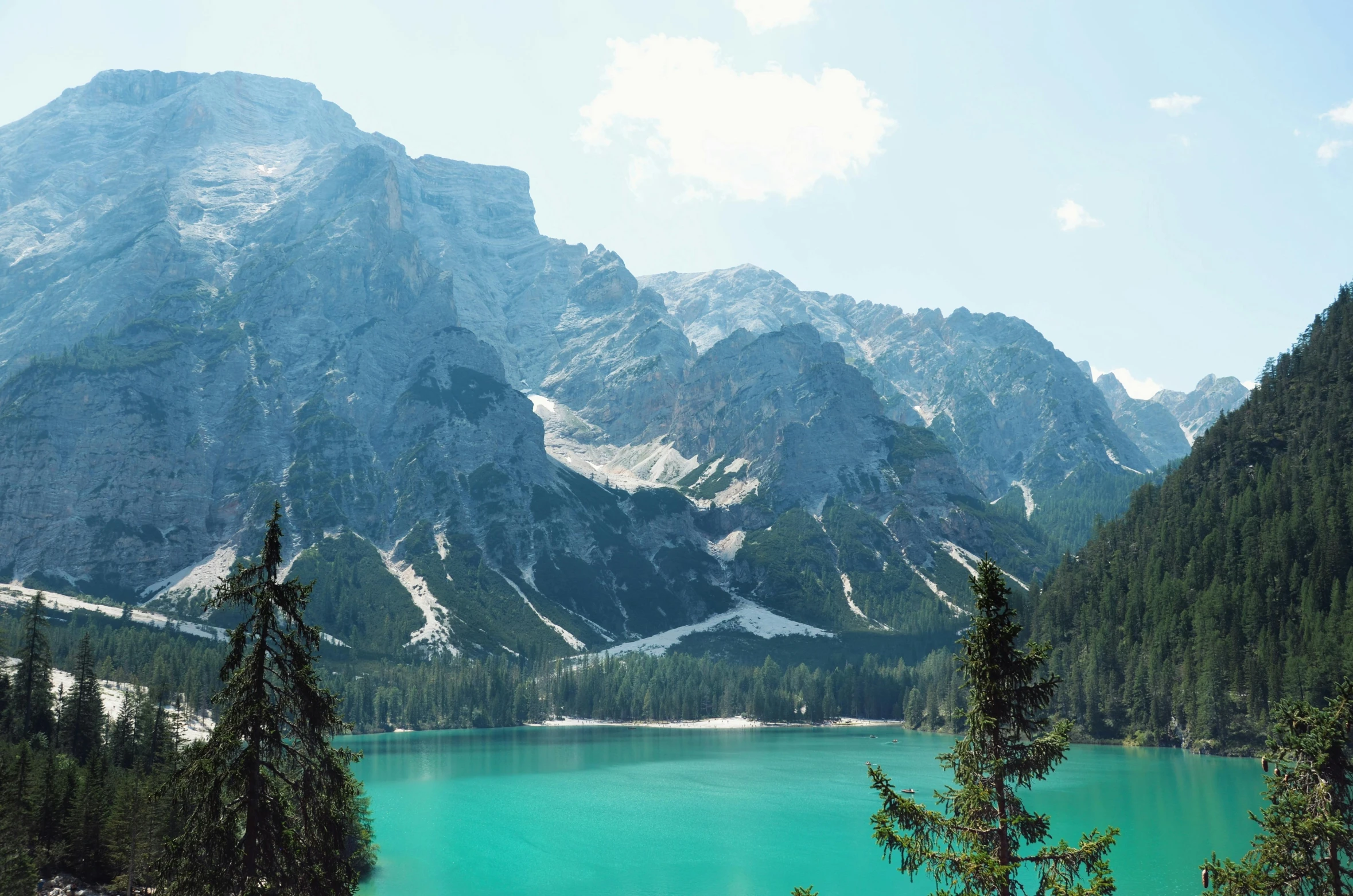 view of a green mountain lake surrounded by forest