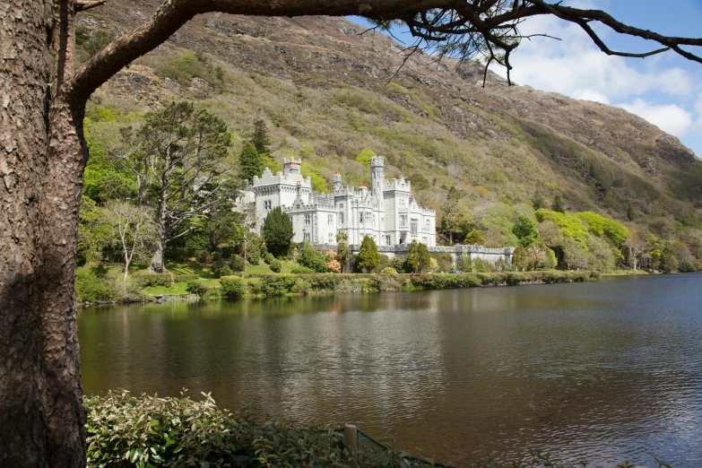 a large castle is on the side of a mountain