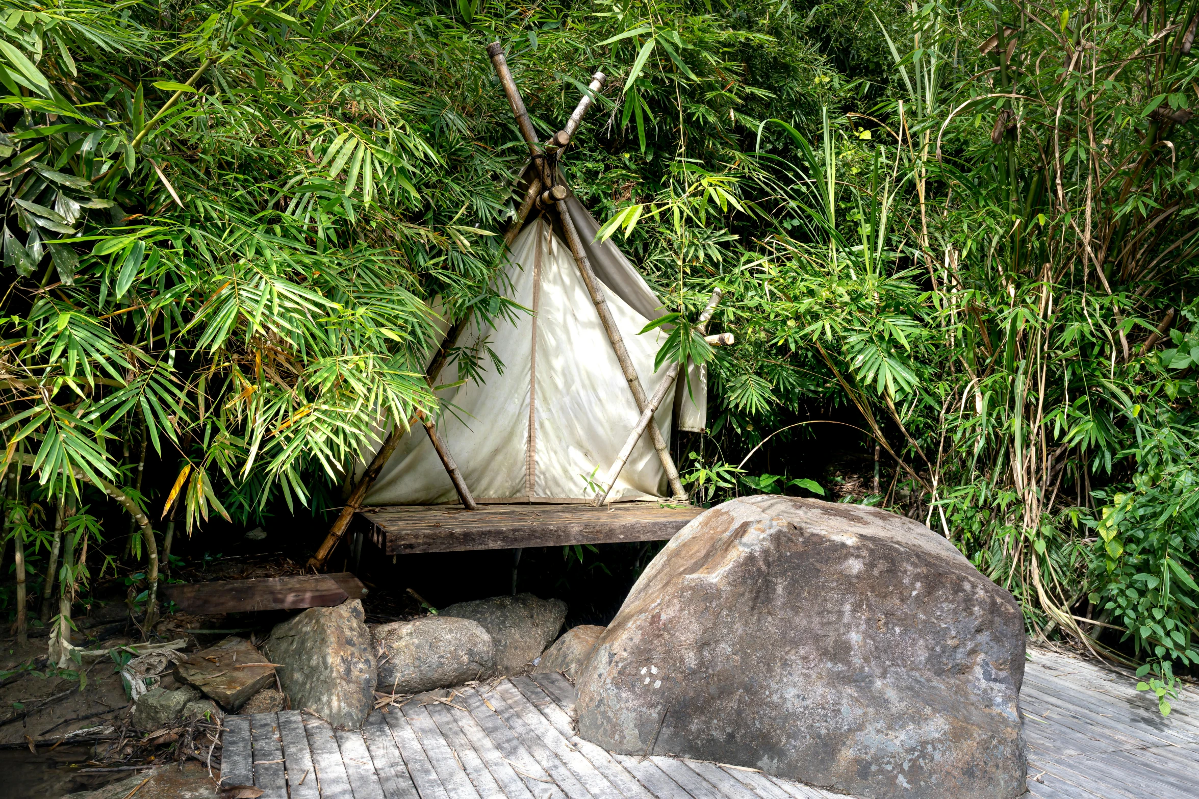 tent in a jungle with decking next to trees