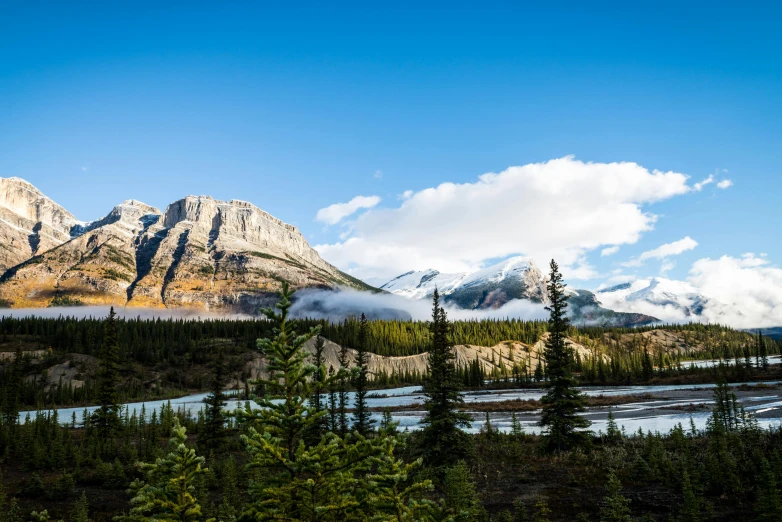 some water and trees by some mountains