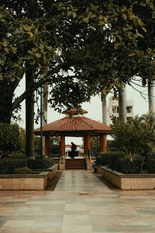 a gazebo in the middle of several bushes and trees