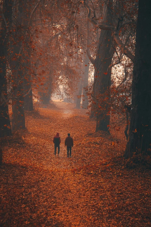 two people are walking through a dark forest