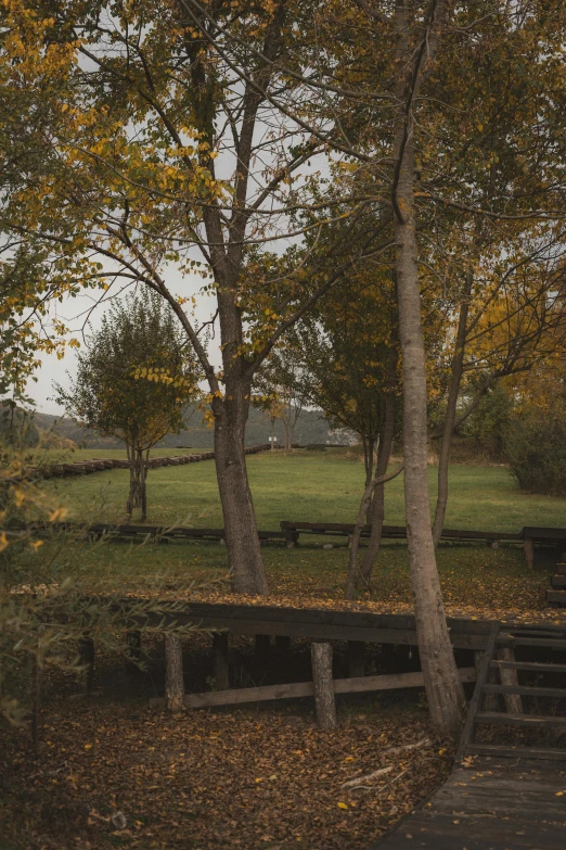 a park with trees and benches next to it