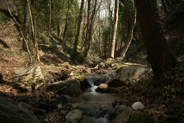 small stream flowing through an area of dry brush