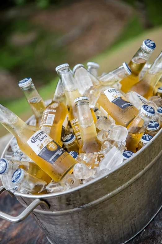 several bottles of beer are in a bucket