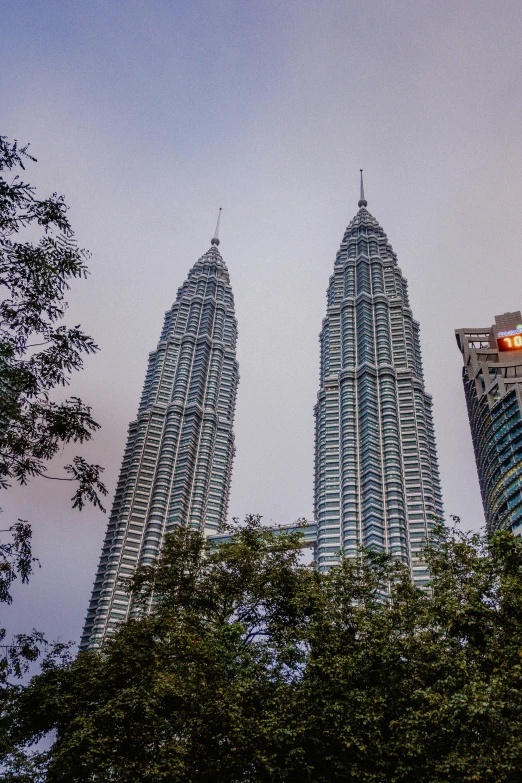 some tall buildings with a green tree near them