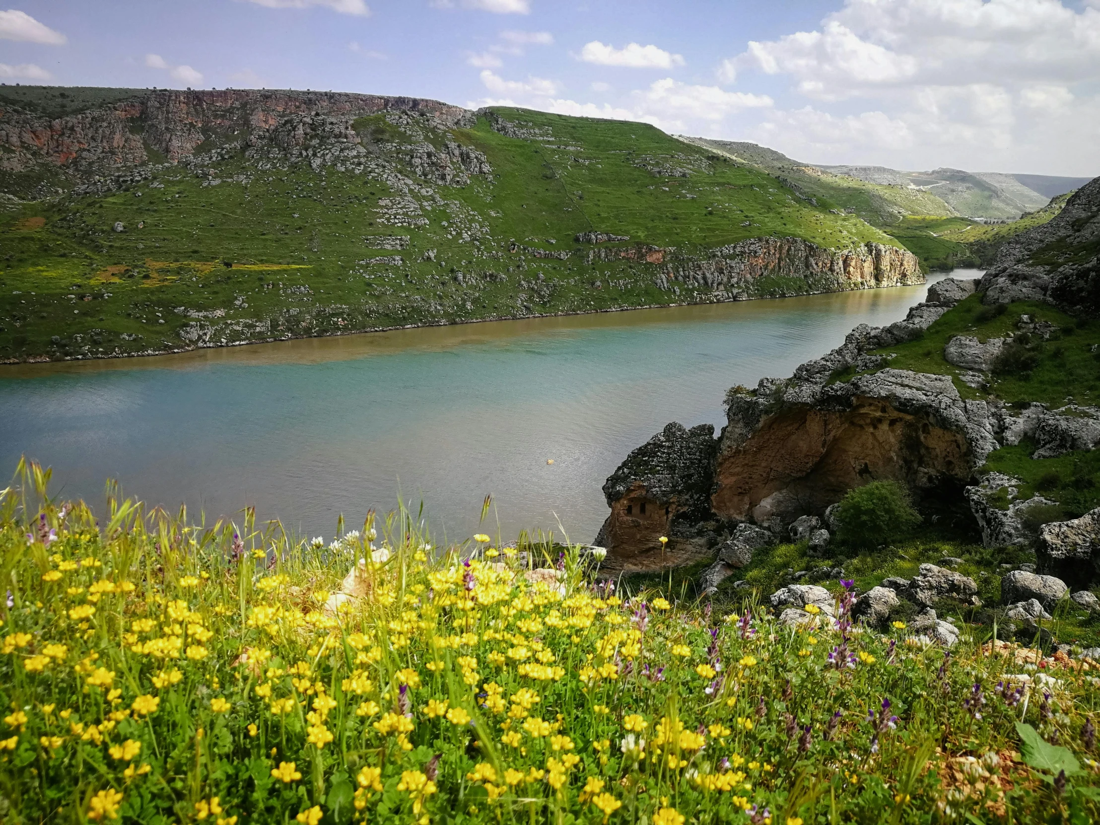 green hills and flowers along the side of the water