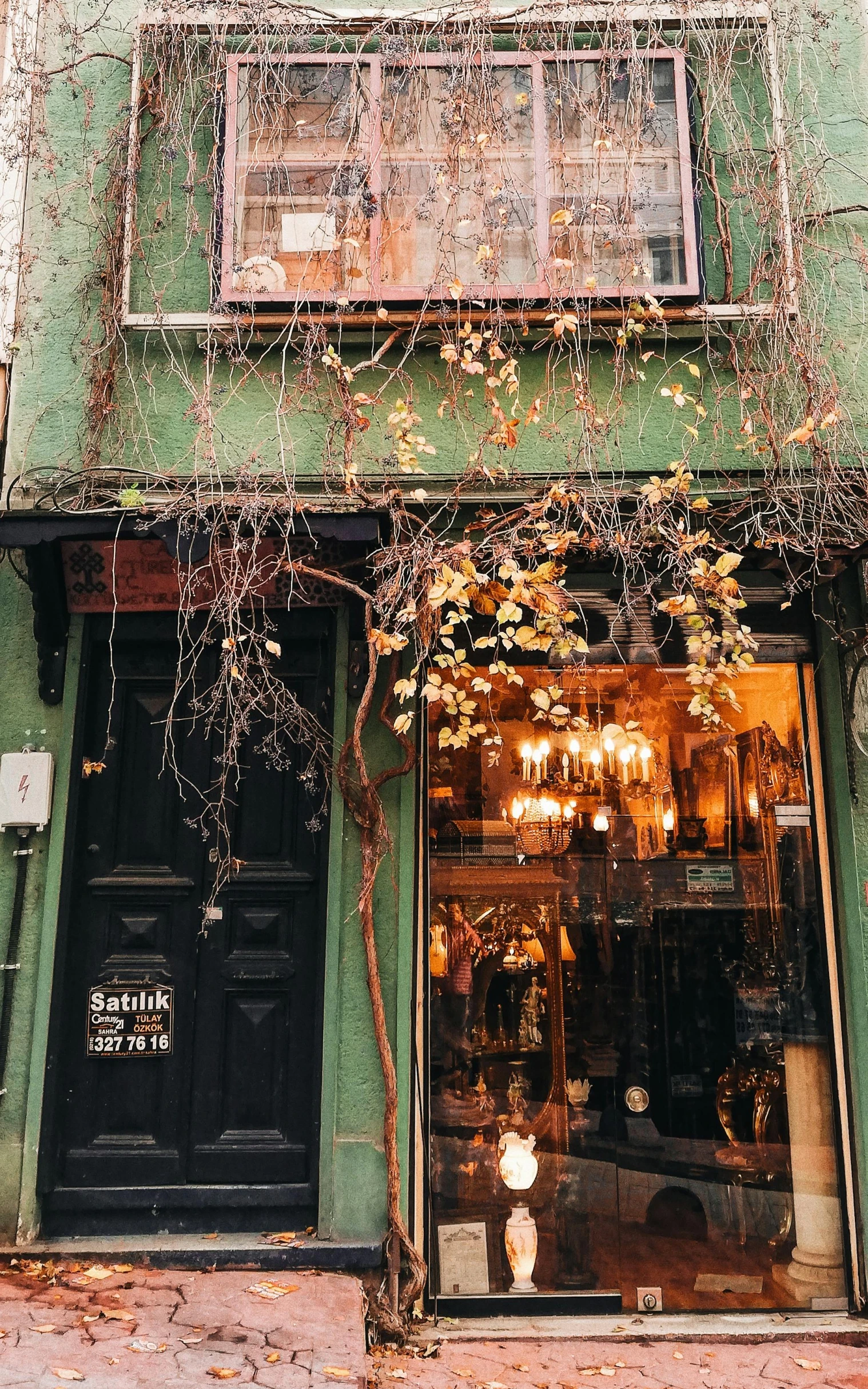 a shop front that has a plant growing on it