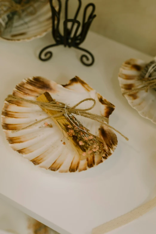 this is some fancy decorative shells with ribbons on them