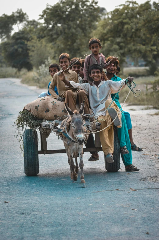 a donkey is pulling a group of children on it's back
