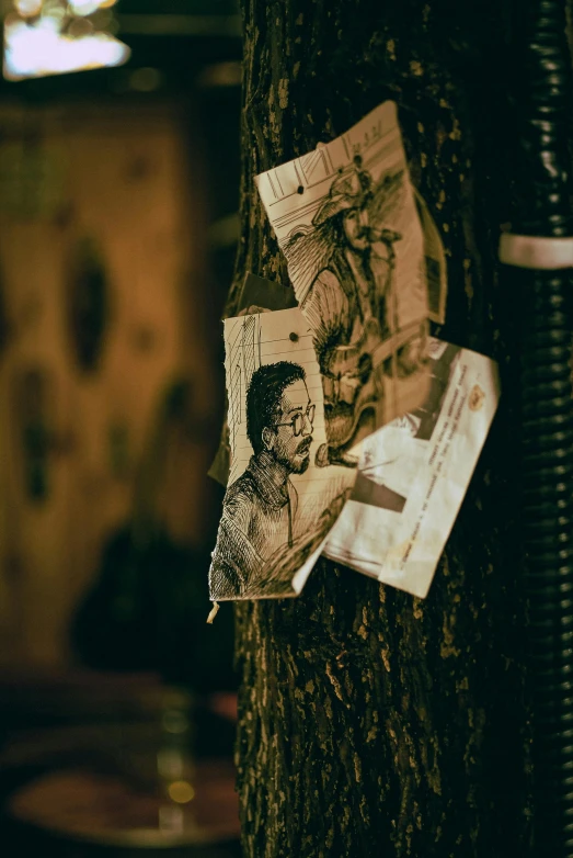 many papers are pinned to the side of a tree