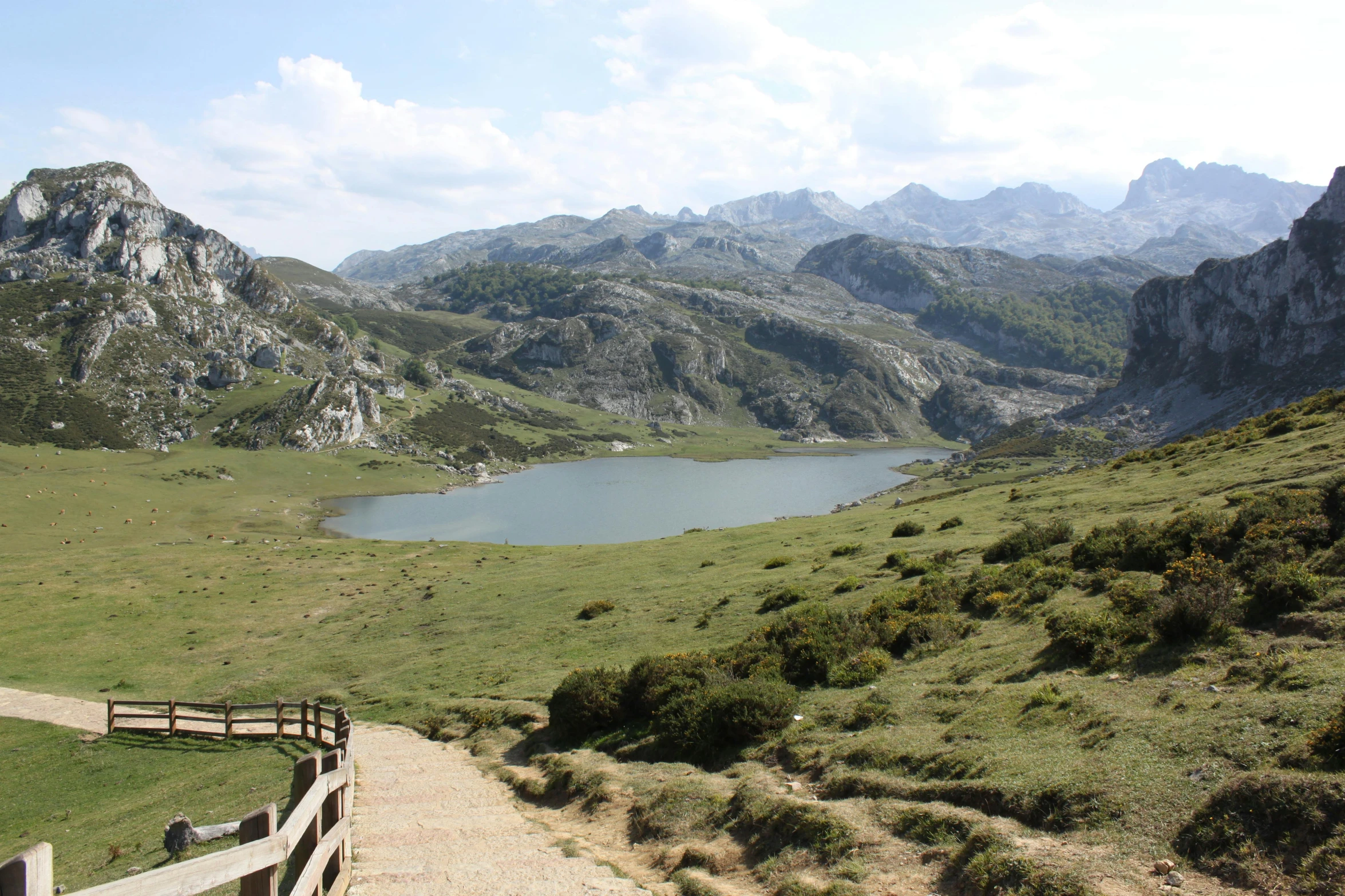 a path leading up to a grassy hillside