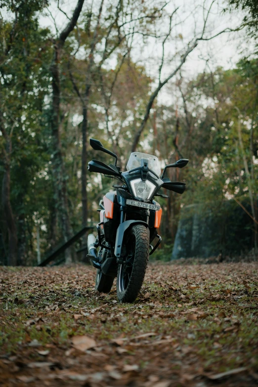 a motorcycle that is parked in the woods