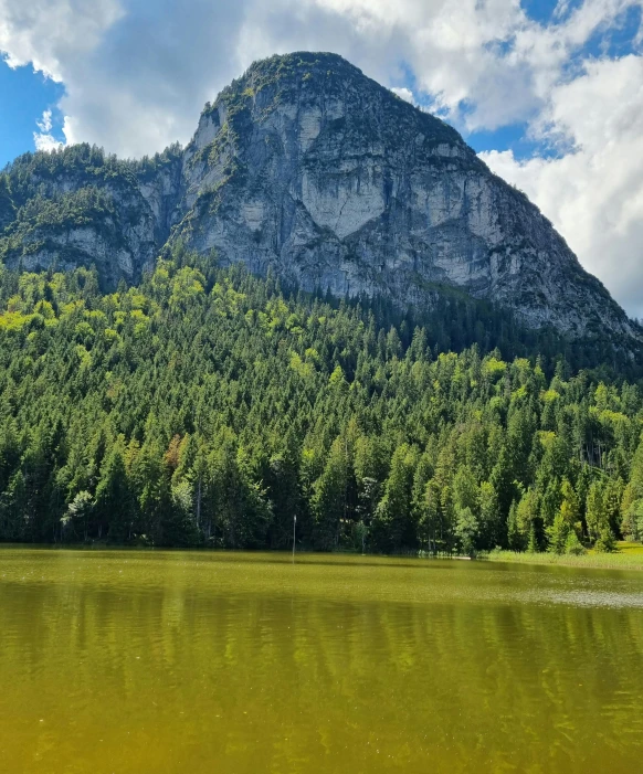 the mountain is surrounded by water and trees