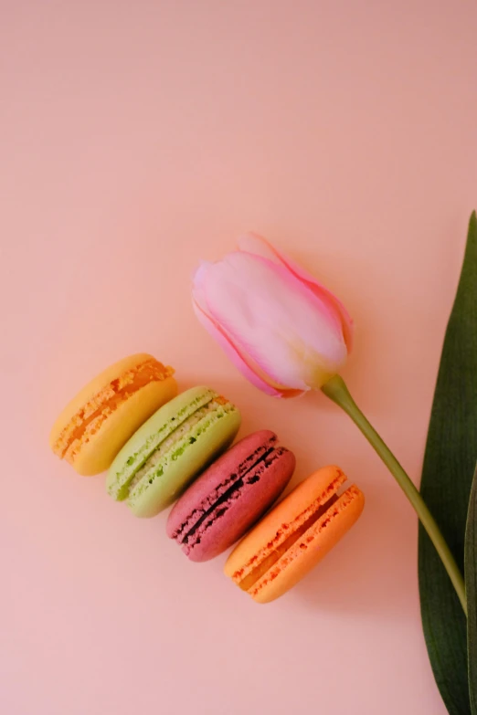 four decorated donuts are next to a tulip