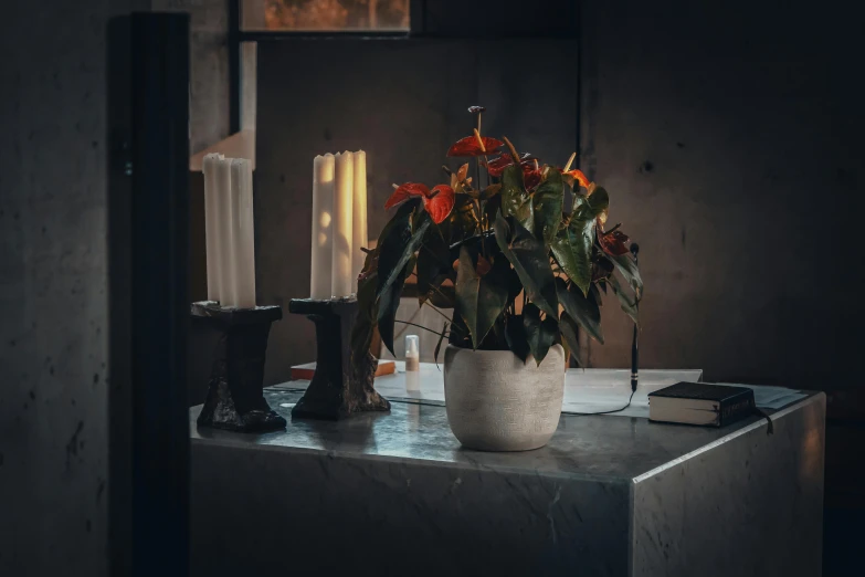 a vase filled with orange flowers on top of a table