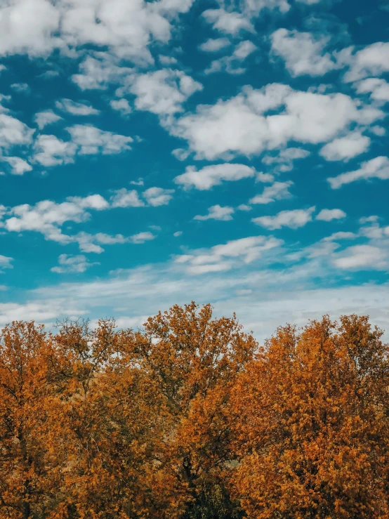 an airplane flying through a cloudy blue sky above a forest