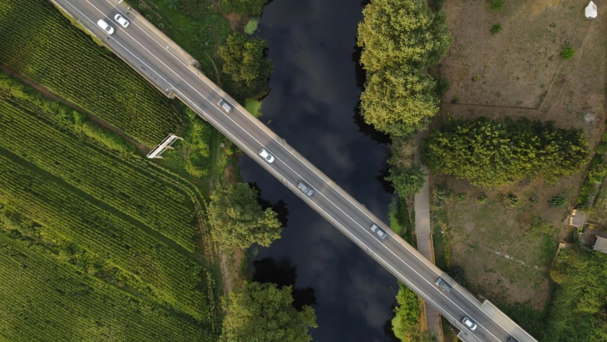 two lanes of road with trees and plants on both sides