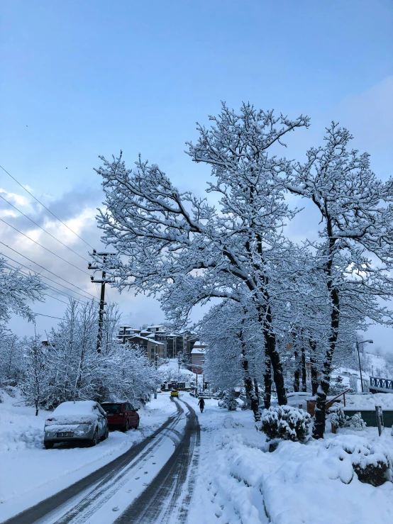 a snowy street with snow and trees, cars parked in front of it