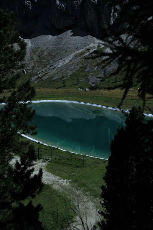 a small pond in the middle of some trees