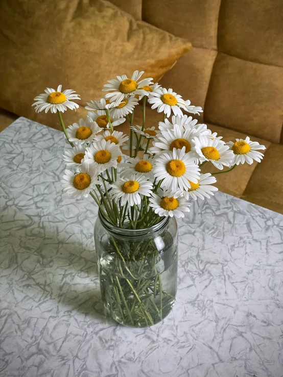 a clear jar filled with water and white daisies