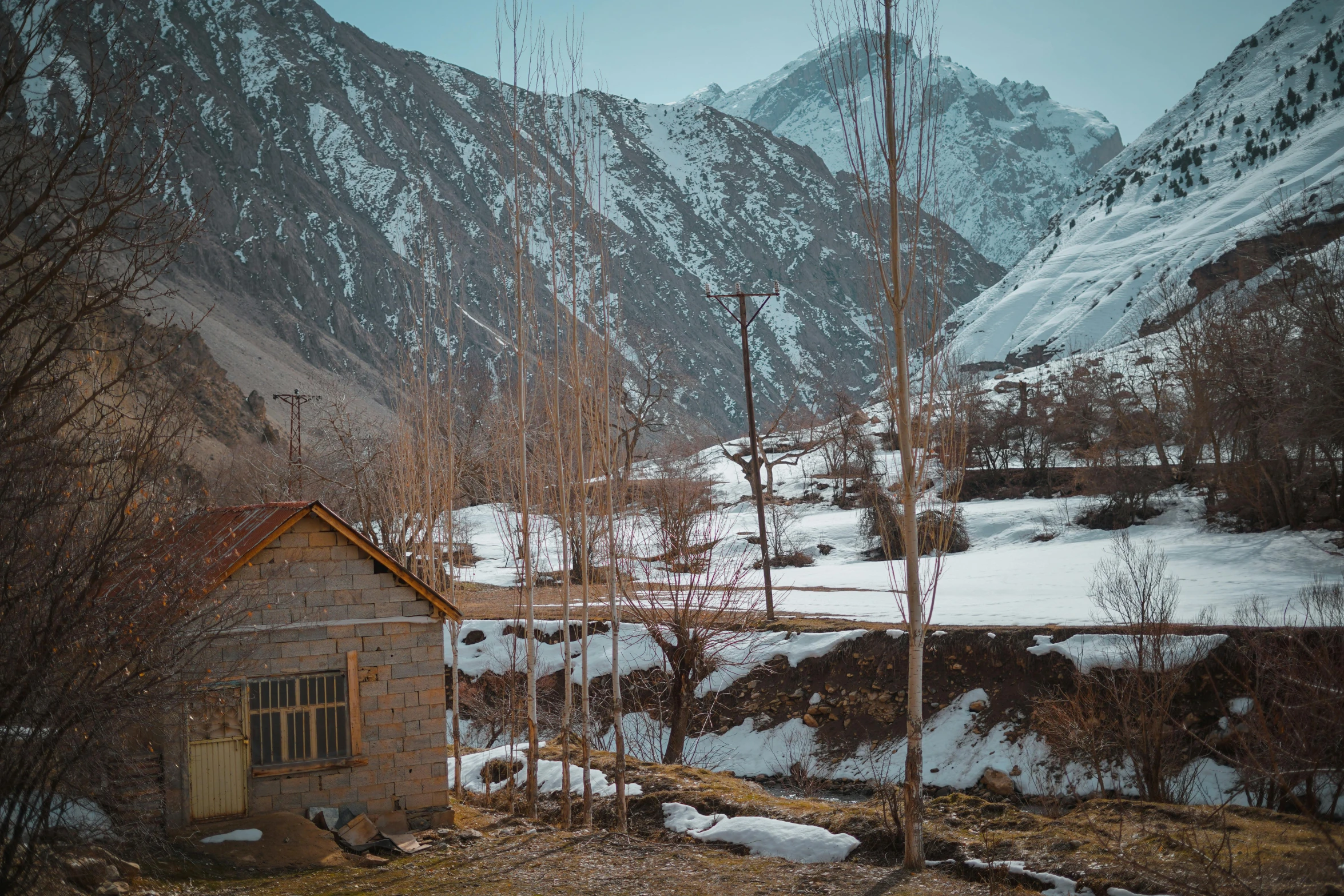 a house with trees and mountains behind it