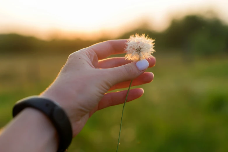 a person holding soing that looks like a flower