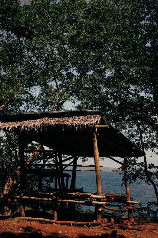 an old structure near the water with trees