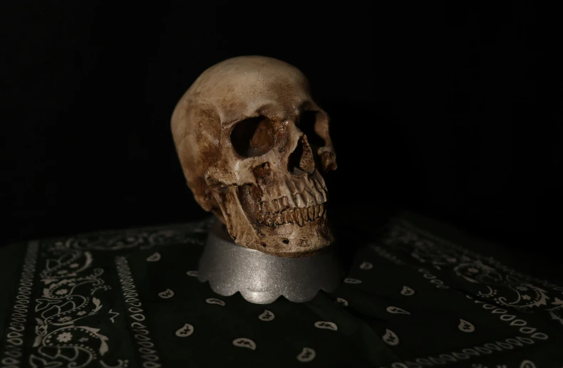 an intricate carved human skull displayed in dim light