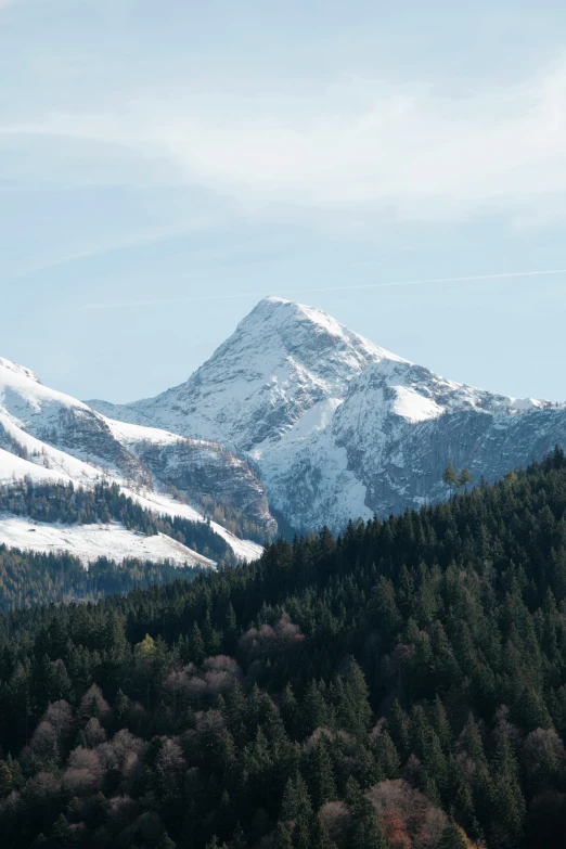 a mountain covered in snow on the edge of a forest