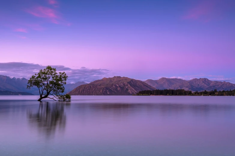 a tree is sitting alone in the middle of water