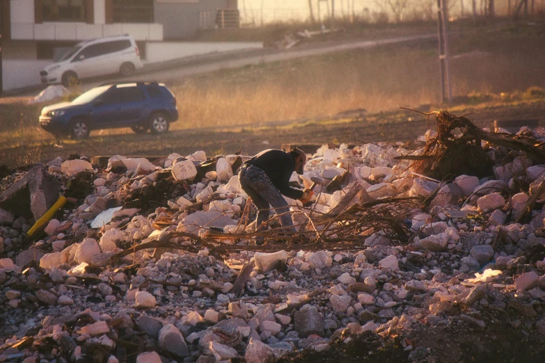 a bird standing on top of rocks and dirt