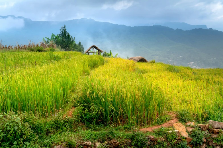 a grass field with a house on top of it