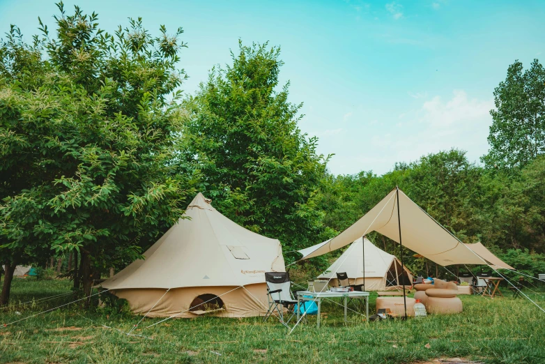 tents on a grassy field near trees and water