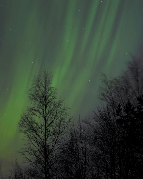 a green sky is filled with aurora aurora