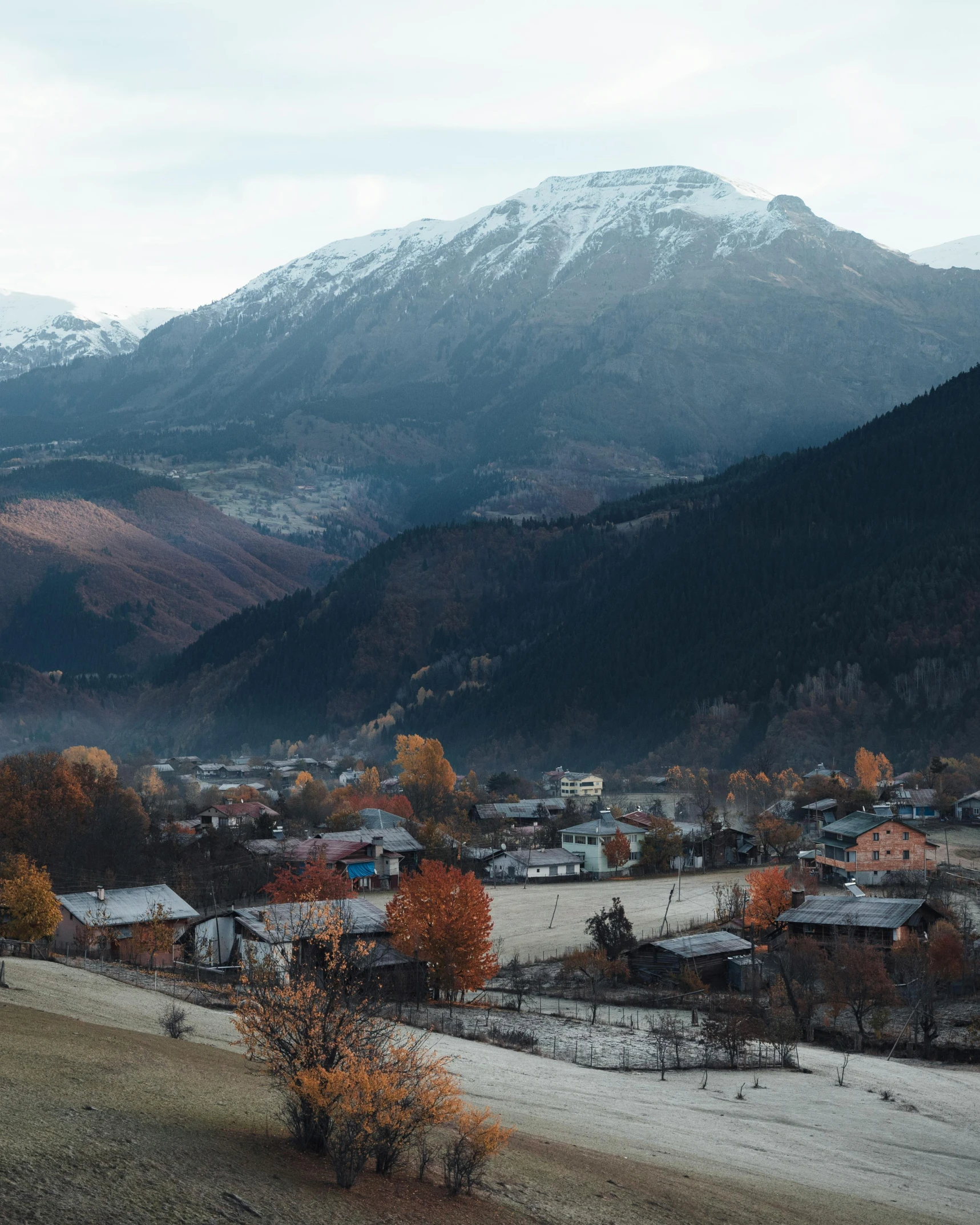 a mountain valley, with houses and mountains in the background