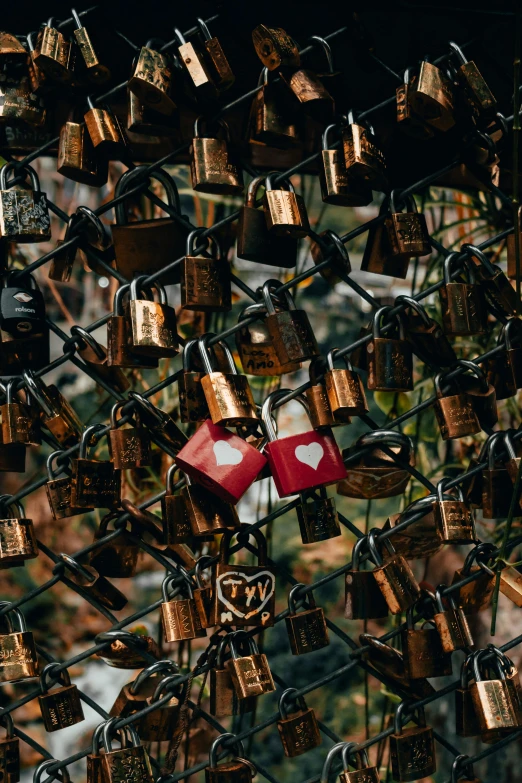 love locks hung in the shape of hearts, with a heart - shaped padlock on each