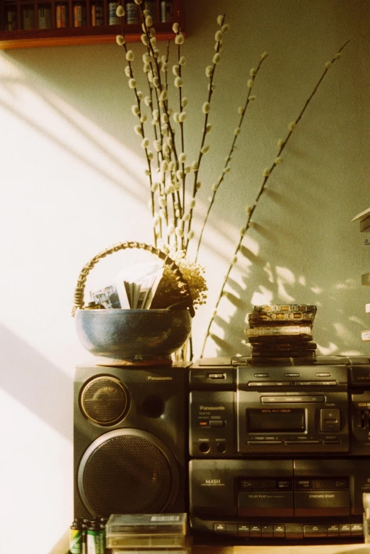 a room with a boombox, tree nches, and a stereo on a table