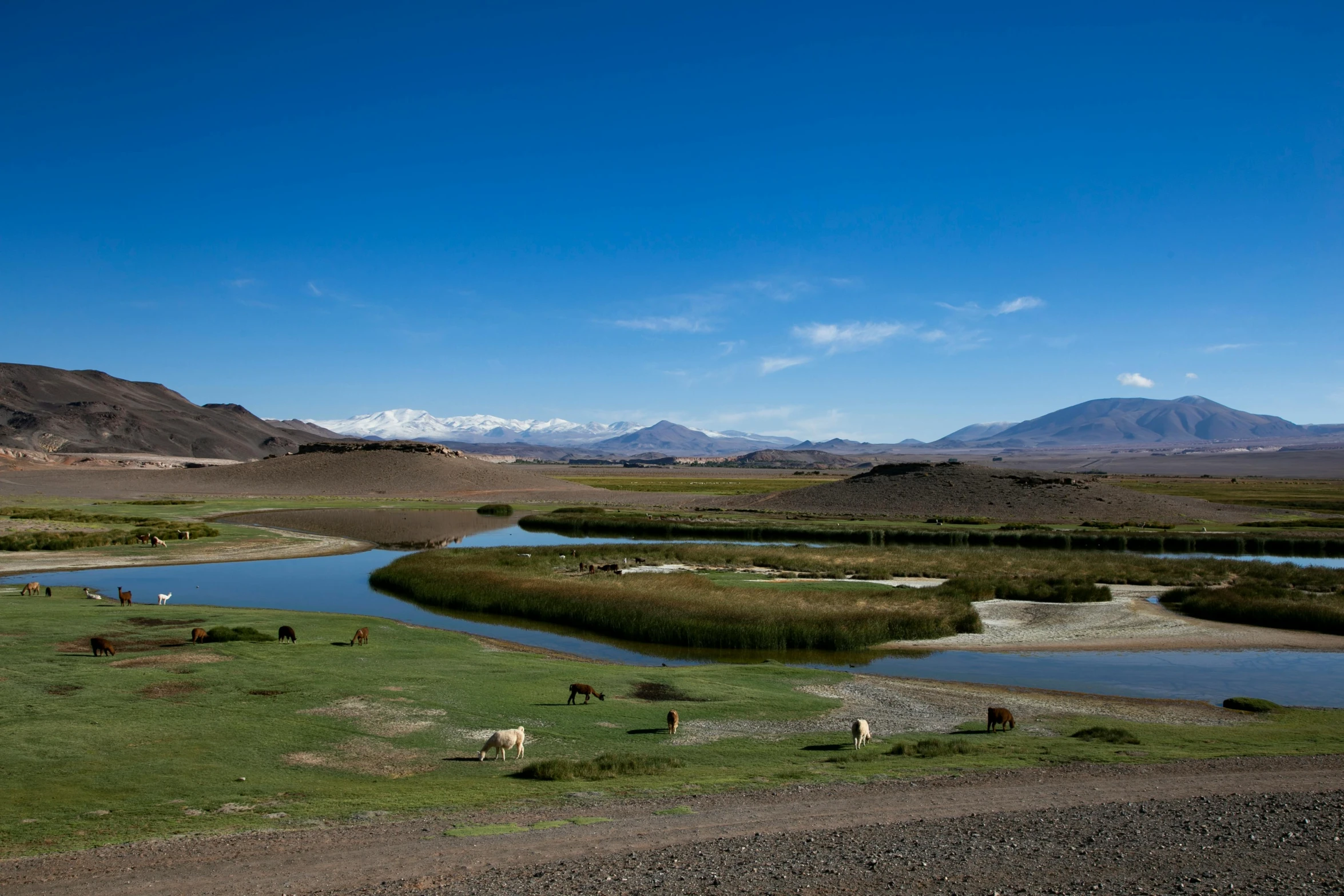 an open area with mountains in the distance